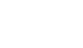 Metal Facts